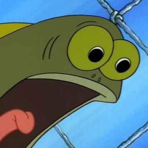 Meet your Posher, Steve - Picture 1 of 1